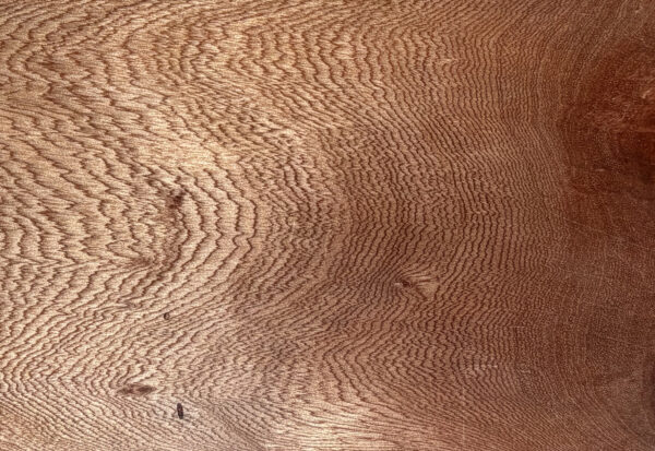Satin sycamore waxed close up native timber by dawsons handcrafted