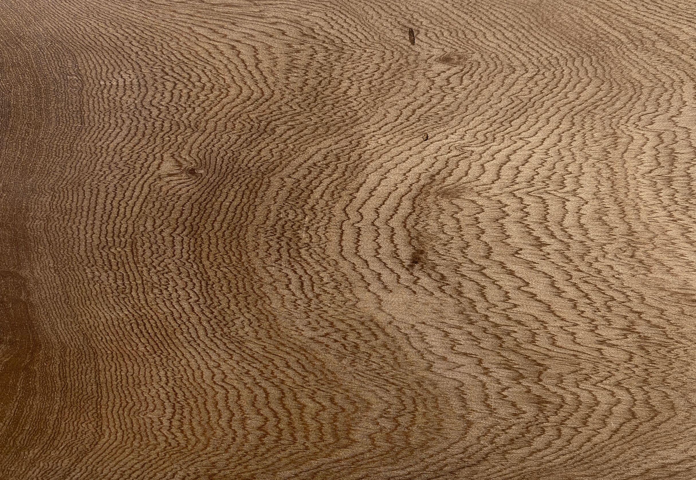 Satin sycamore waxed close up native timber by dawsons handcrafted